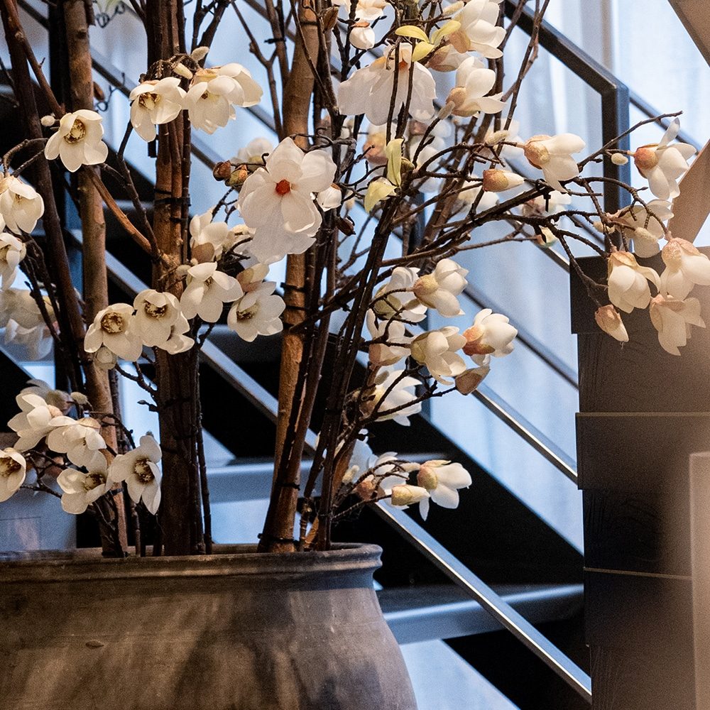 Untitled-2-Recovered_0002_foto-aac-6