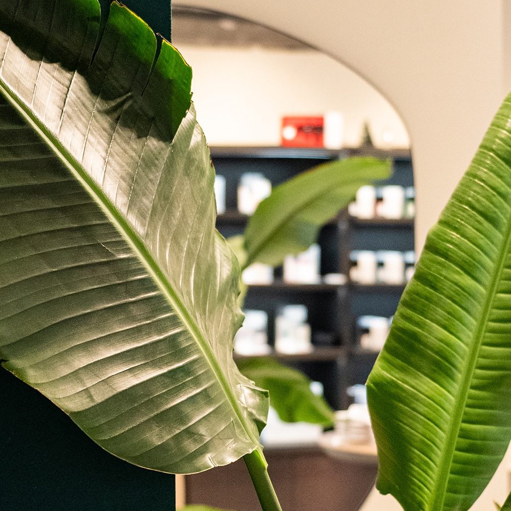 Untitled-2-Recovered_0005_foto-aac-3