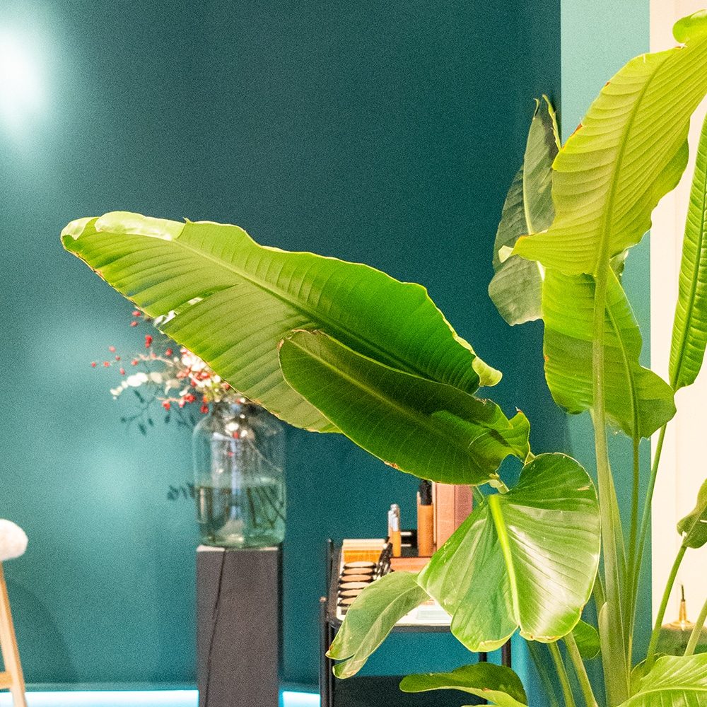 Untitled-2-Recovered_0006_foto-aac-2